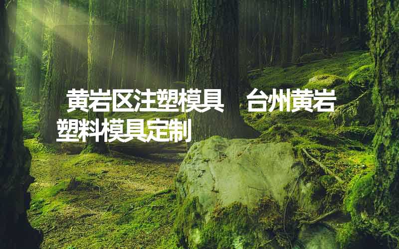 黄岩区注塑模具 台州黄岩塑料模具定制